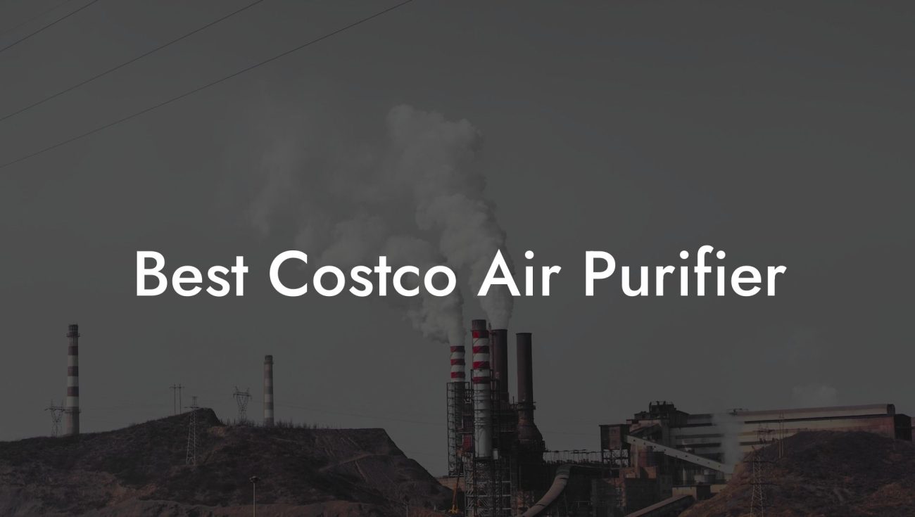 Best Costco Air Purifier