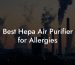 Best Hepa Air Purifier for Allergies