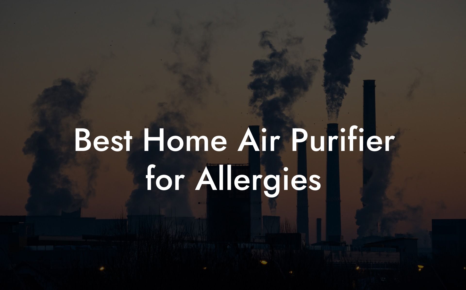 Best Home Air Purifier for Allergies