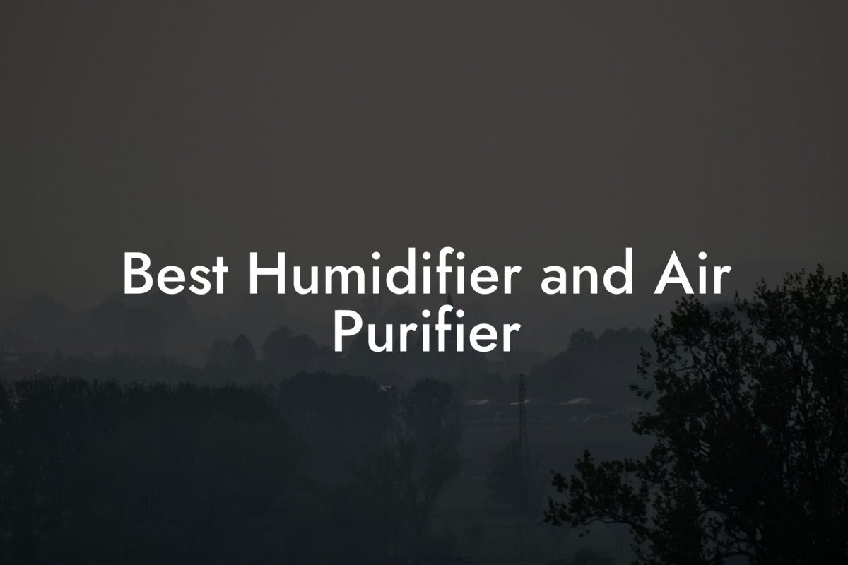 Best Humidifier and Air Purifier