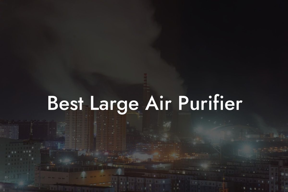 Best Large Air Purifier