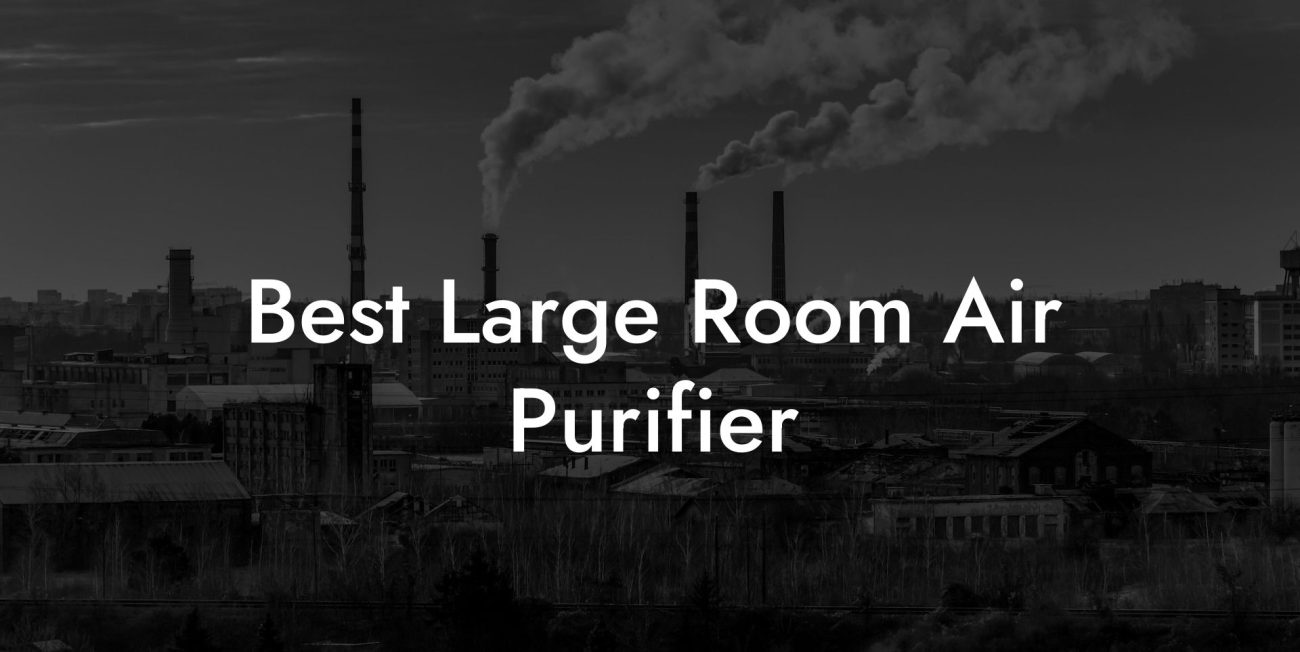 Best Large Room Air Purifier