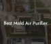 Best Mold Air Purifier