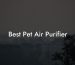 Best Pet Air Purifier