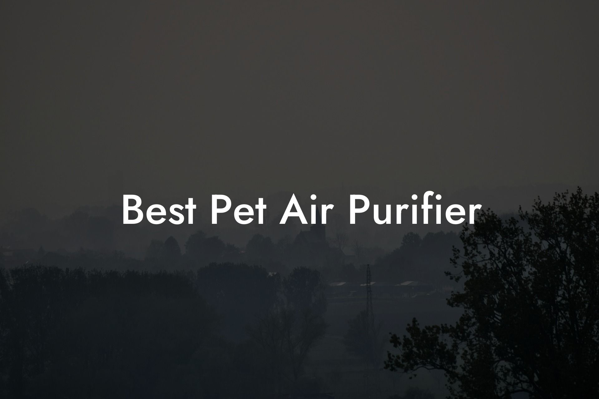 Best Pet Air Purifier