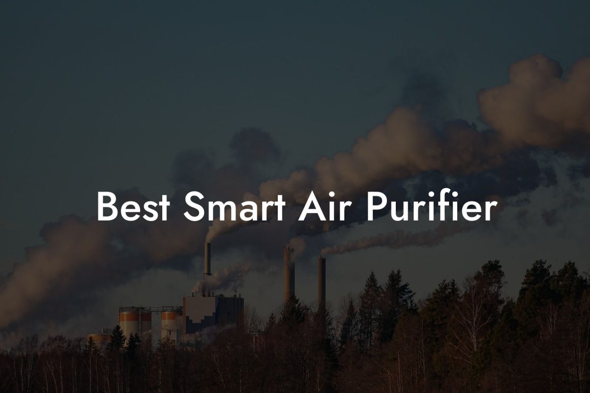 Best Smart Air Purifier