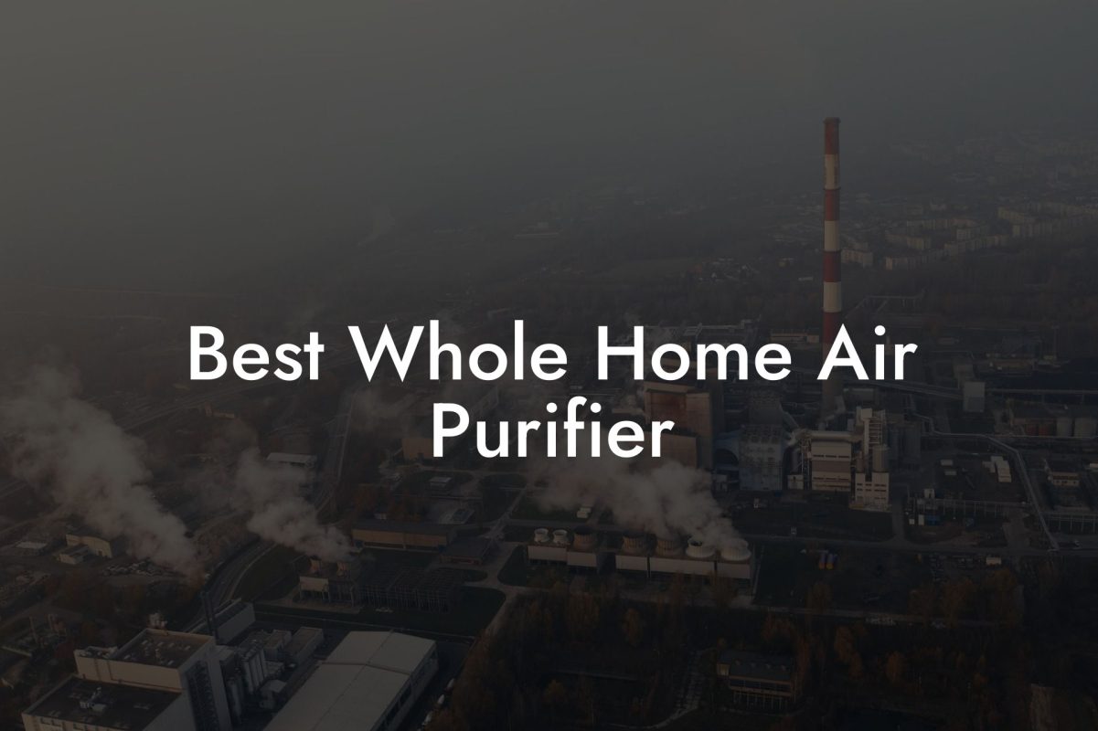 Best Whole Home Air Purifier