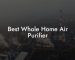 Best Whole Home Air Purifier