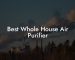 Best Whole House Air Purifier