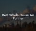 Best Whole House Air Purifier