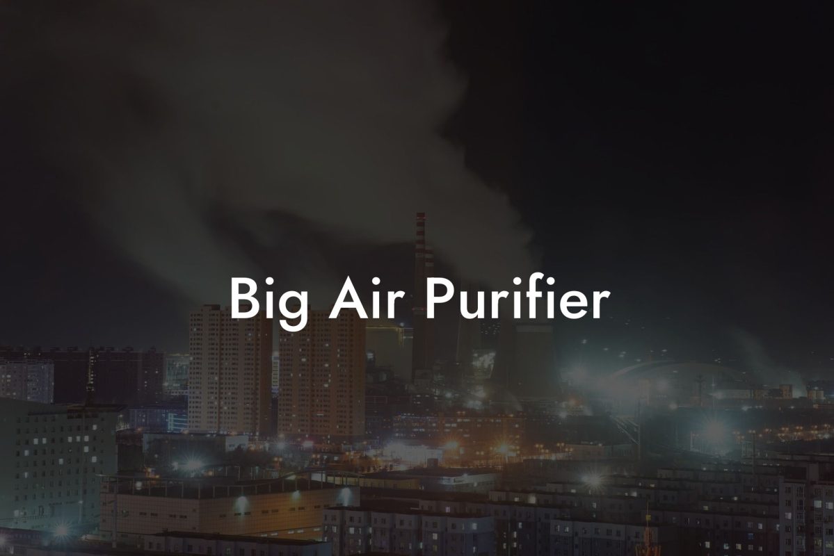 Big Air Purifier