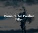 Bionaire Air Purifier Filter