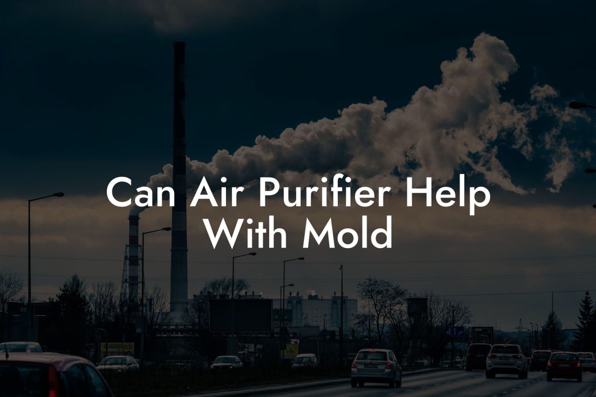 Can Air Purifier Help With Mold