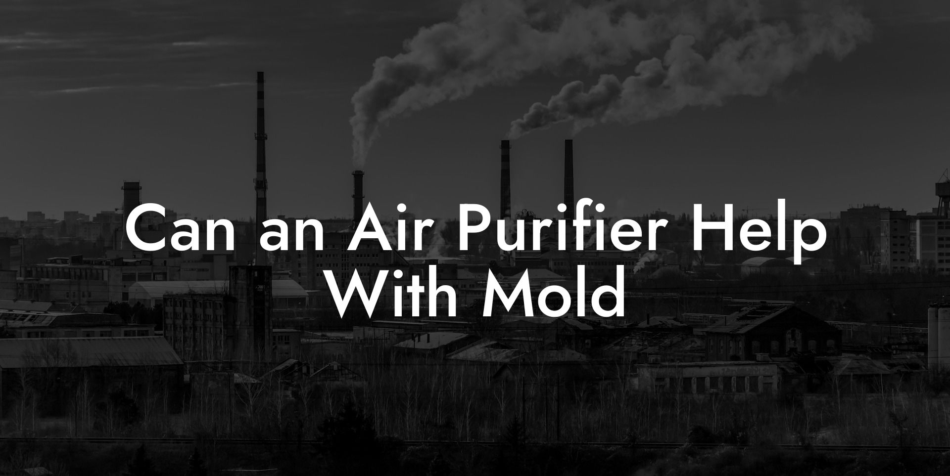 Can an Air Purifier Help With Mold