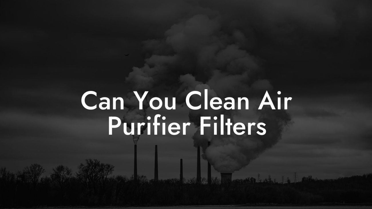 Can You Clean Air Purifier Filters