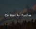 Cat Hair Air Purifier