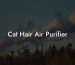 Cat Hair Air Purifier