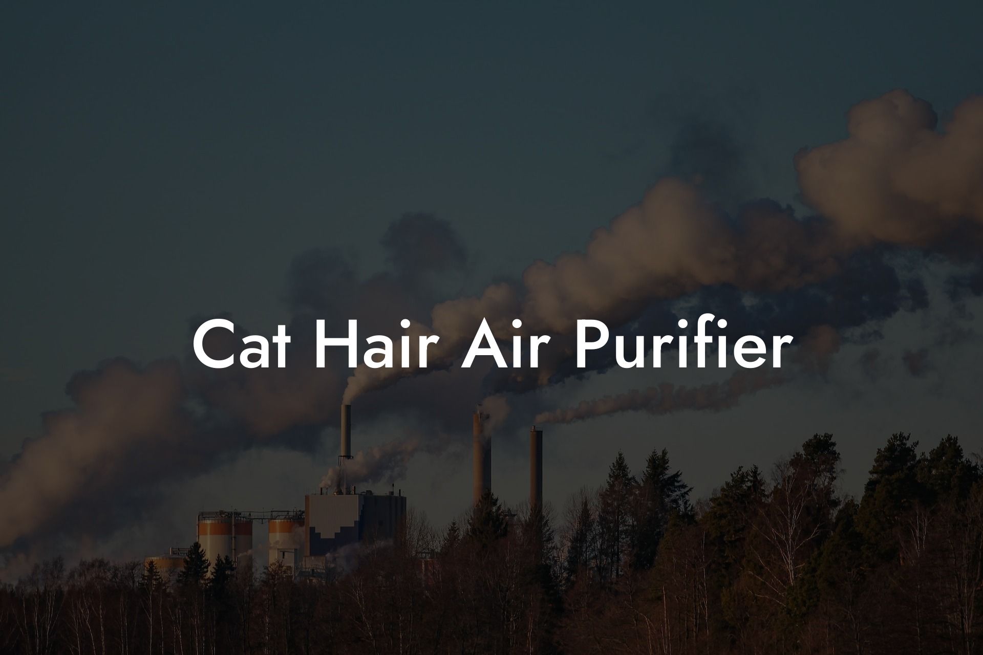 Cat Hair Air Purifier