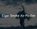 Cigar Smoke Air Purifier