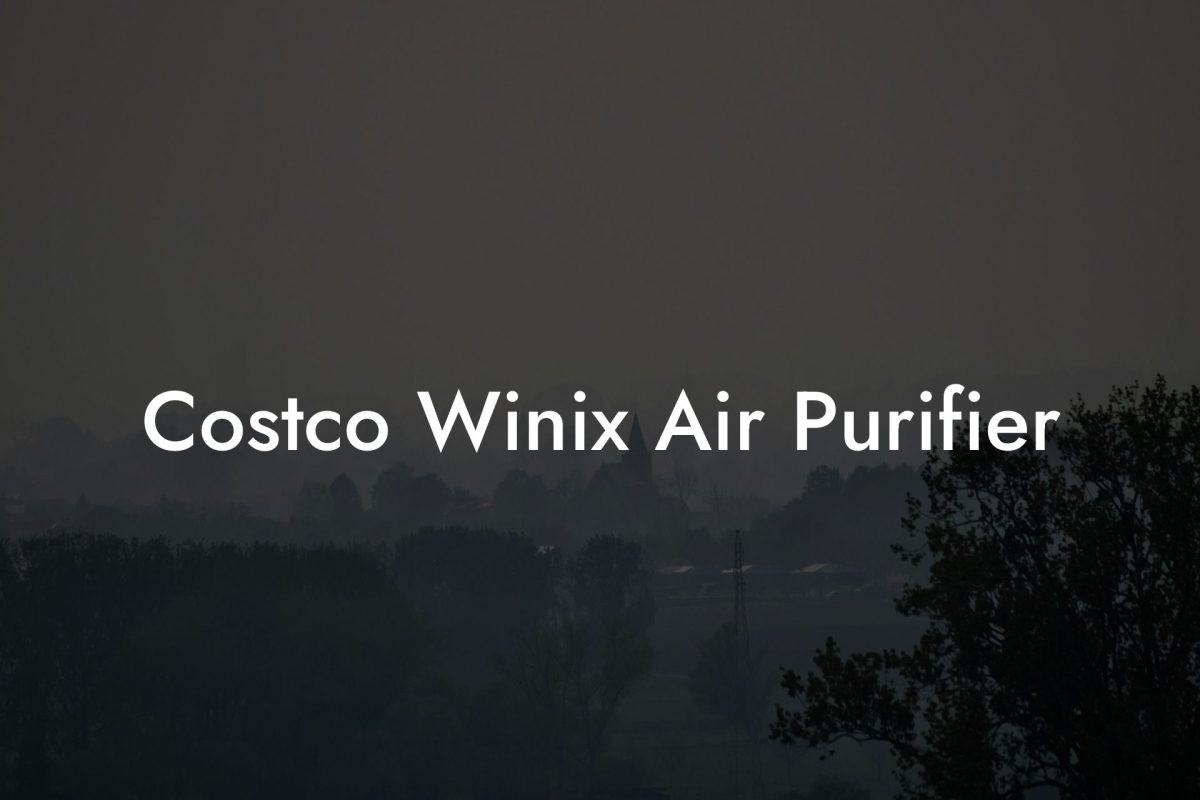 Costco Winix Air Purifier