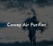 Coway Air Purifier