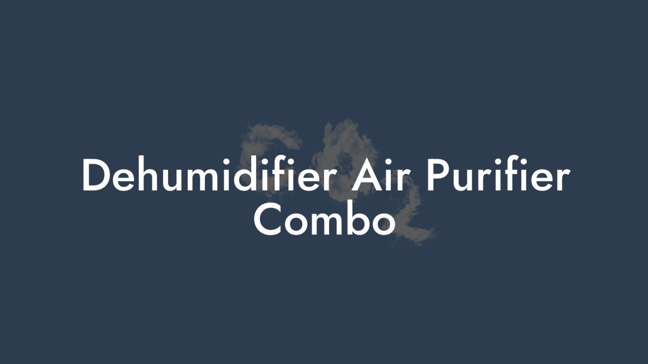 Dehumidifier Air Purifier Combo