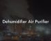 Dehumidifier Air Purifier