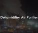 Dehumidifier Air Purifier