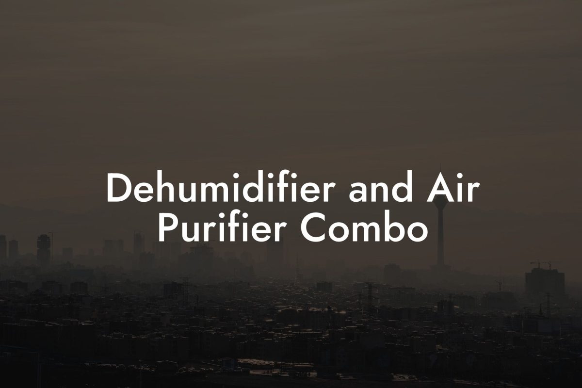 Dehumidifier and Air Purifier Combo