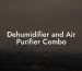 Dehumidifier and Air Purifier Combo