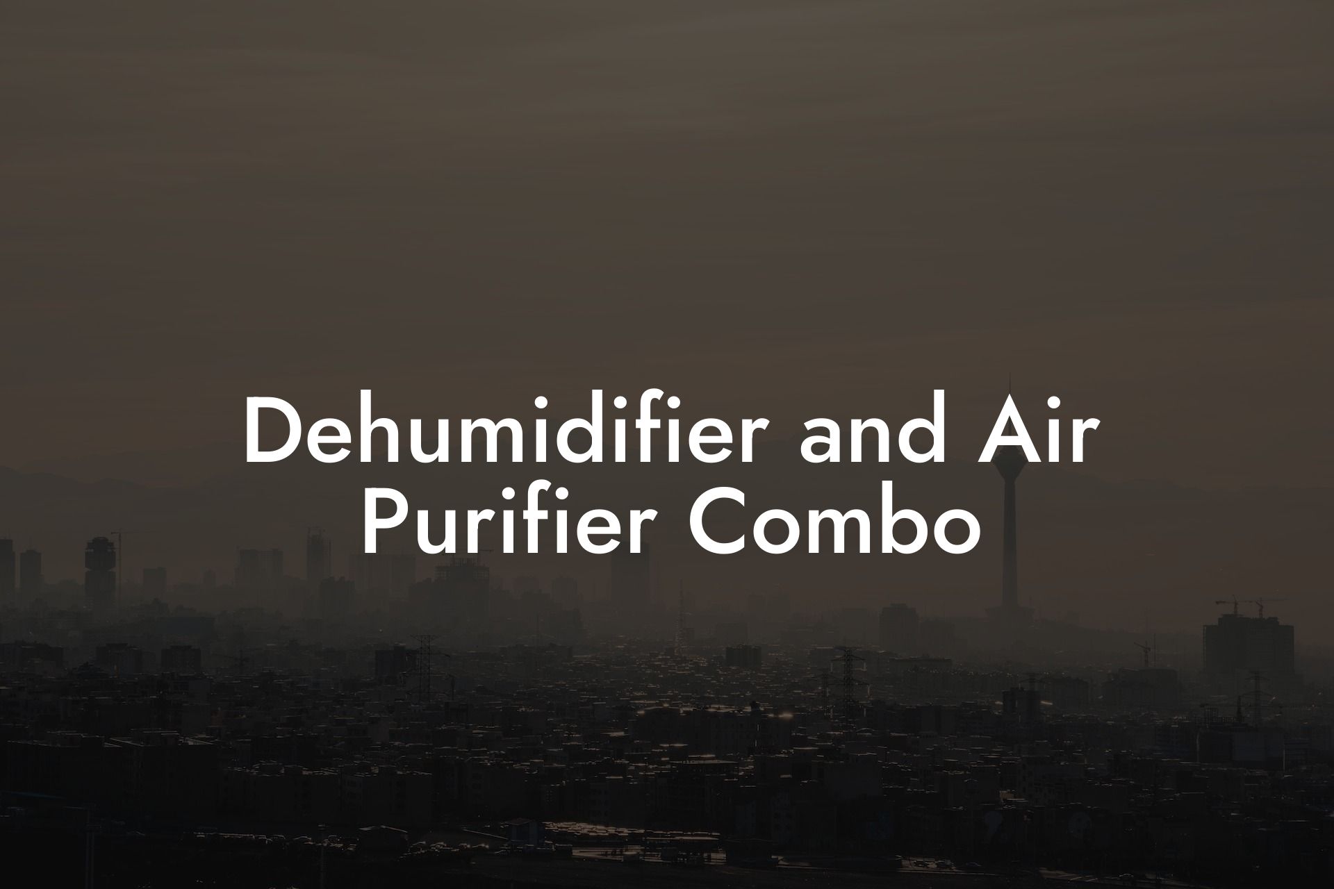 Dehumidifier and Air Purifier Combo