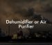 Dehumidifier or Air Purifier