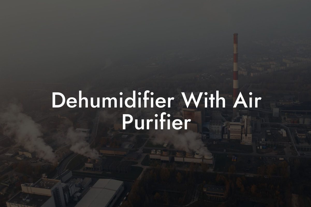 Dehumidifier With Air Purifier