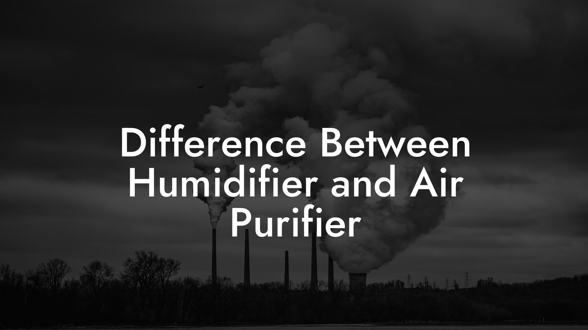 Difference Between Humidifier and Air Purifier