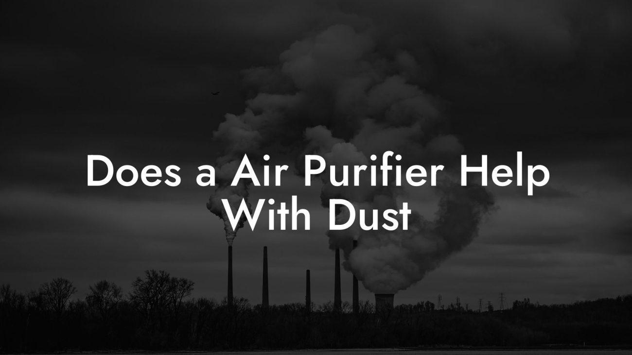 Does a Air Purifier Help With Dust