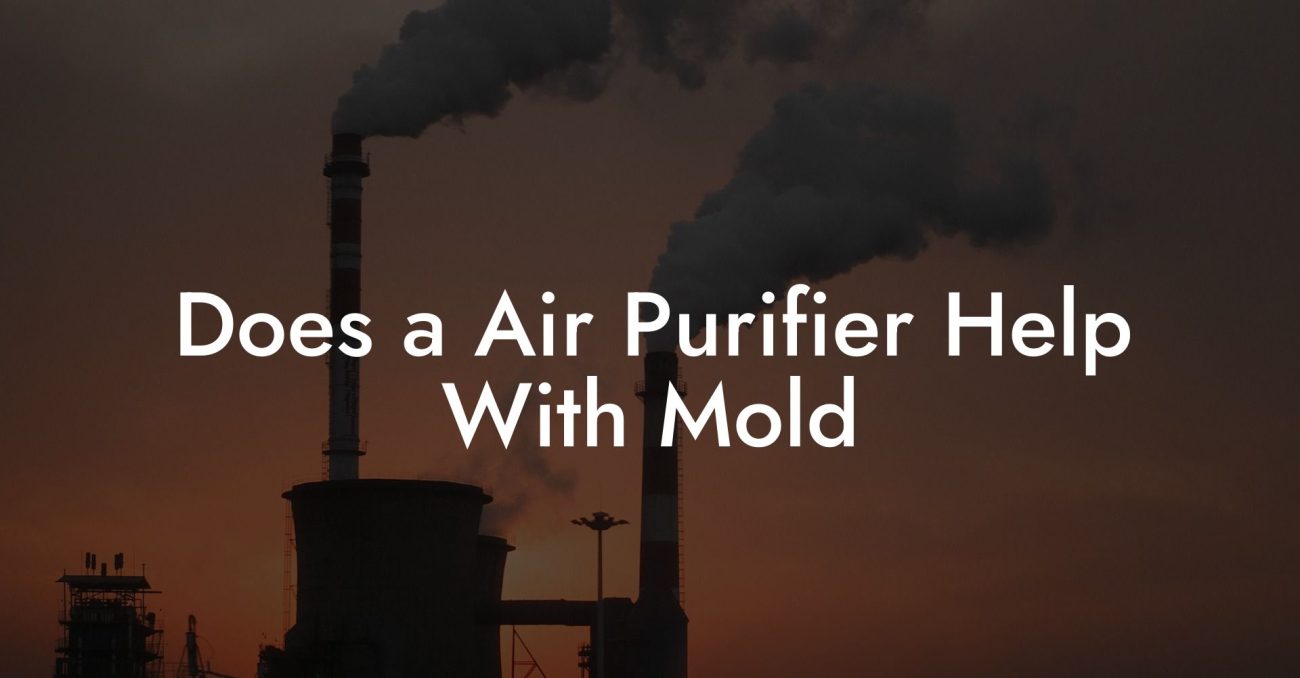 Does a Air Purifier Help With Mold