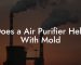 Does a Air Purifier Help With Mold