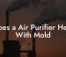 Does a Air Purifier Help With Mold