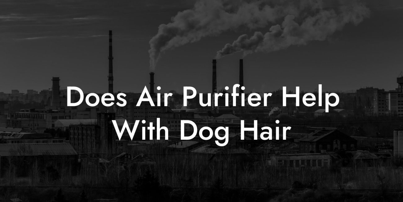 Does Air Purifier Help With Dog Hair