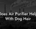 Does Air Purifier Help With Dog Hair