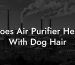 Does Air Purifier Help With Dog Hair