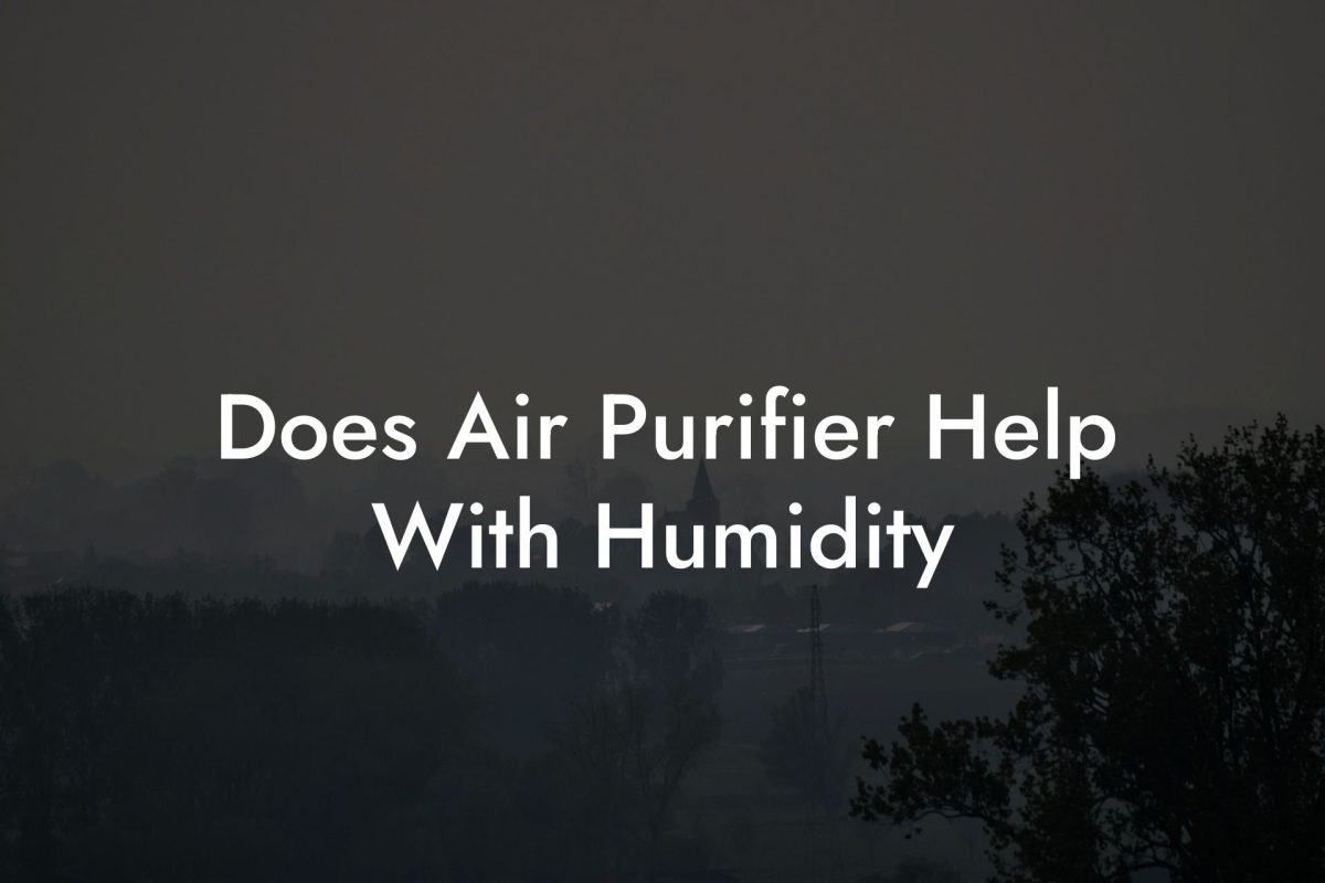 Does Air Purifier Help With Humidity