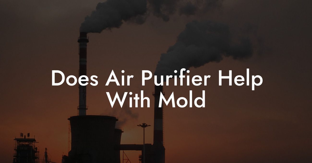 Does Air Purifier Help With Mold