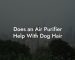 Does an Air Purifier Help With Dog Hair