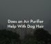 Does an Air Purifier Help With Dog Hair