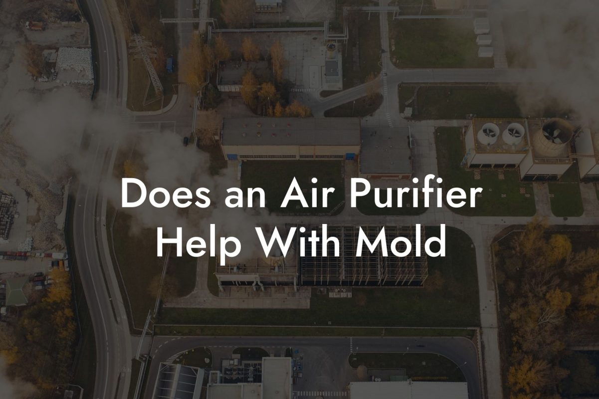 Does an Air Purifier Help With Mold