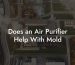 Does an Air Purifier Help With Mold