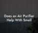 Does an Air Purifier Help With Smell