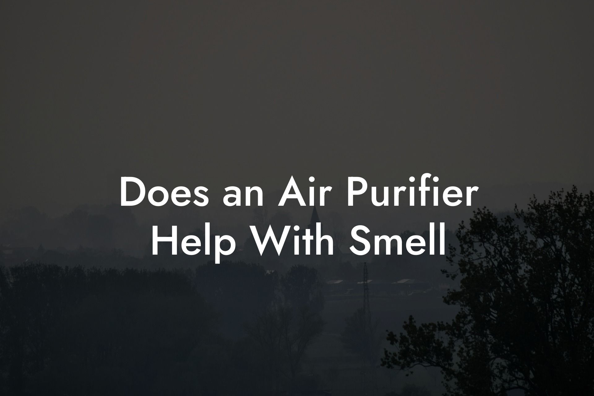 Does an Air Purifier Help With Smell