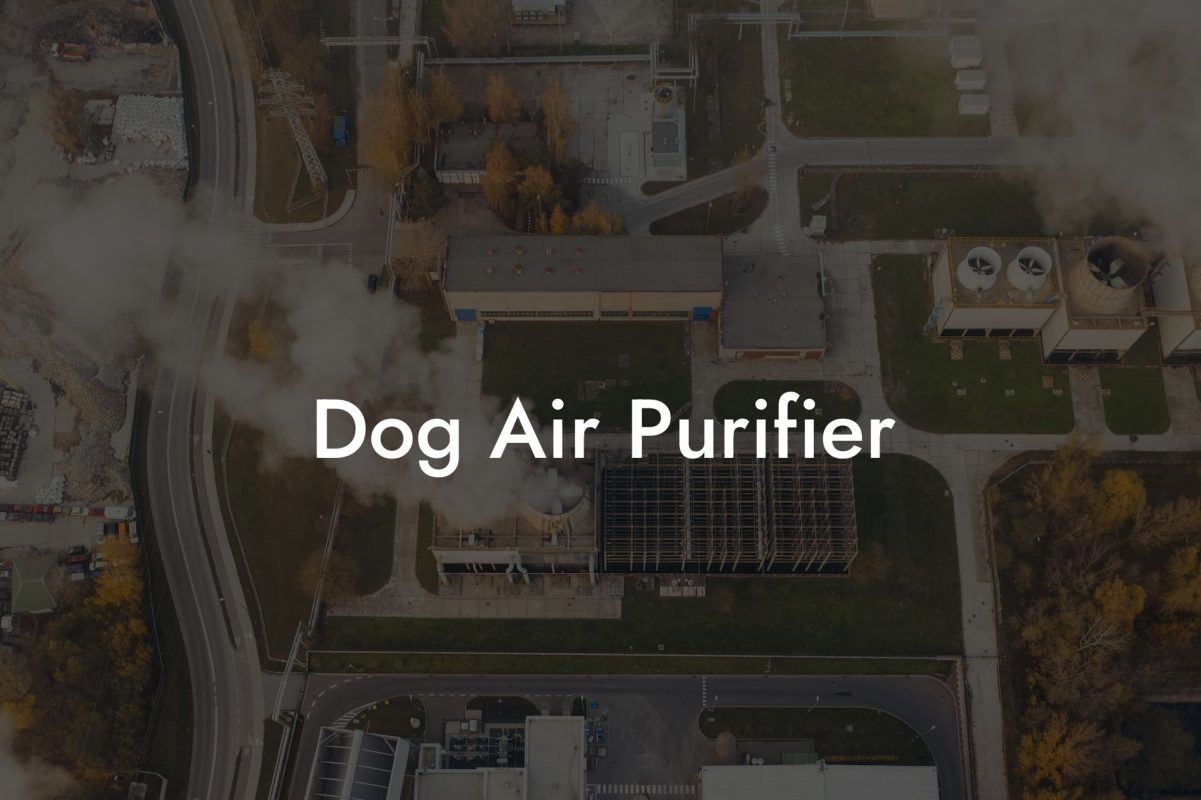 Dog Air Purifier